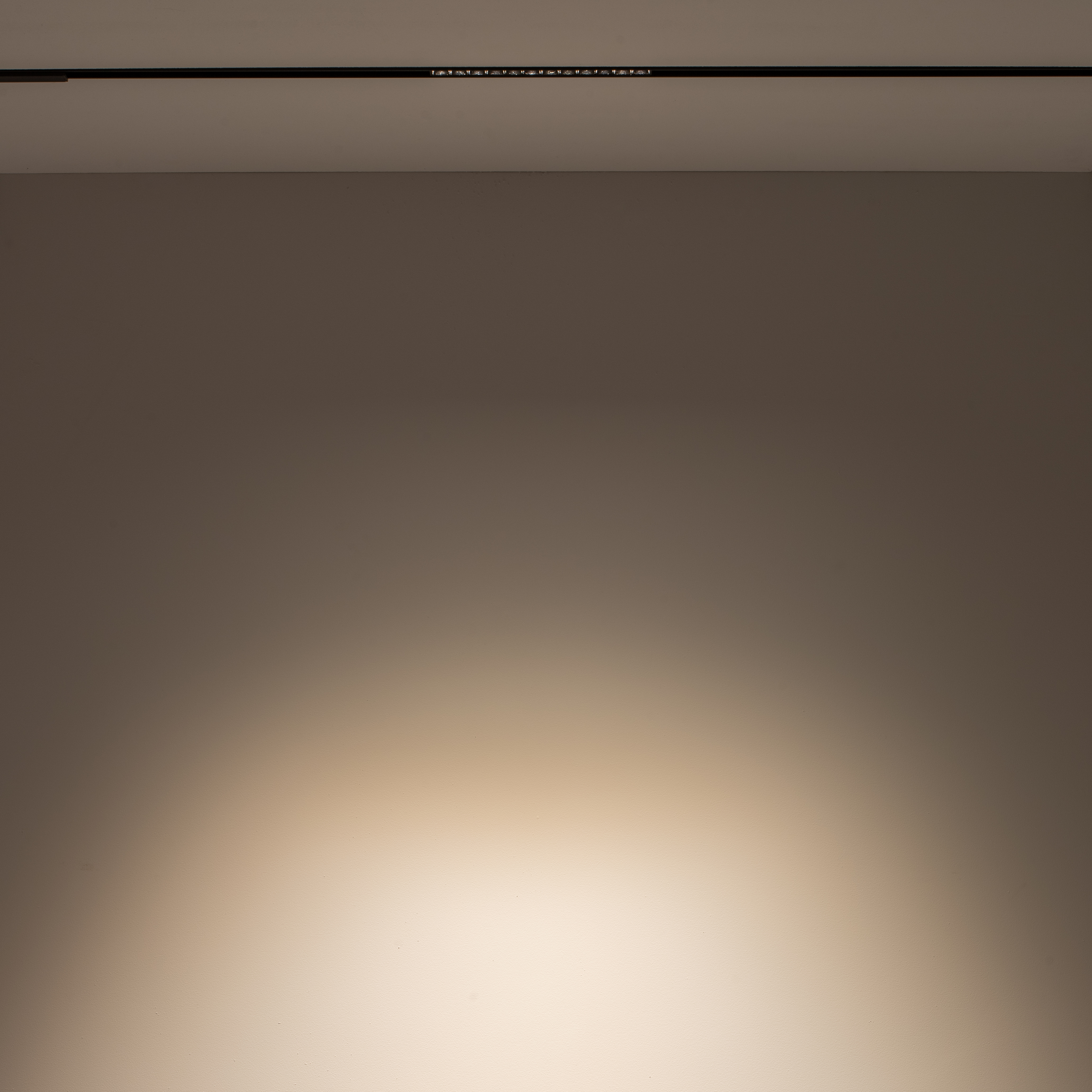 10144-1.jpg