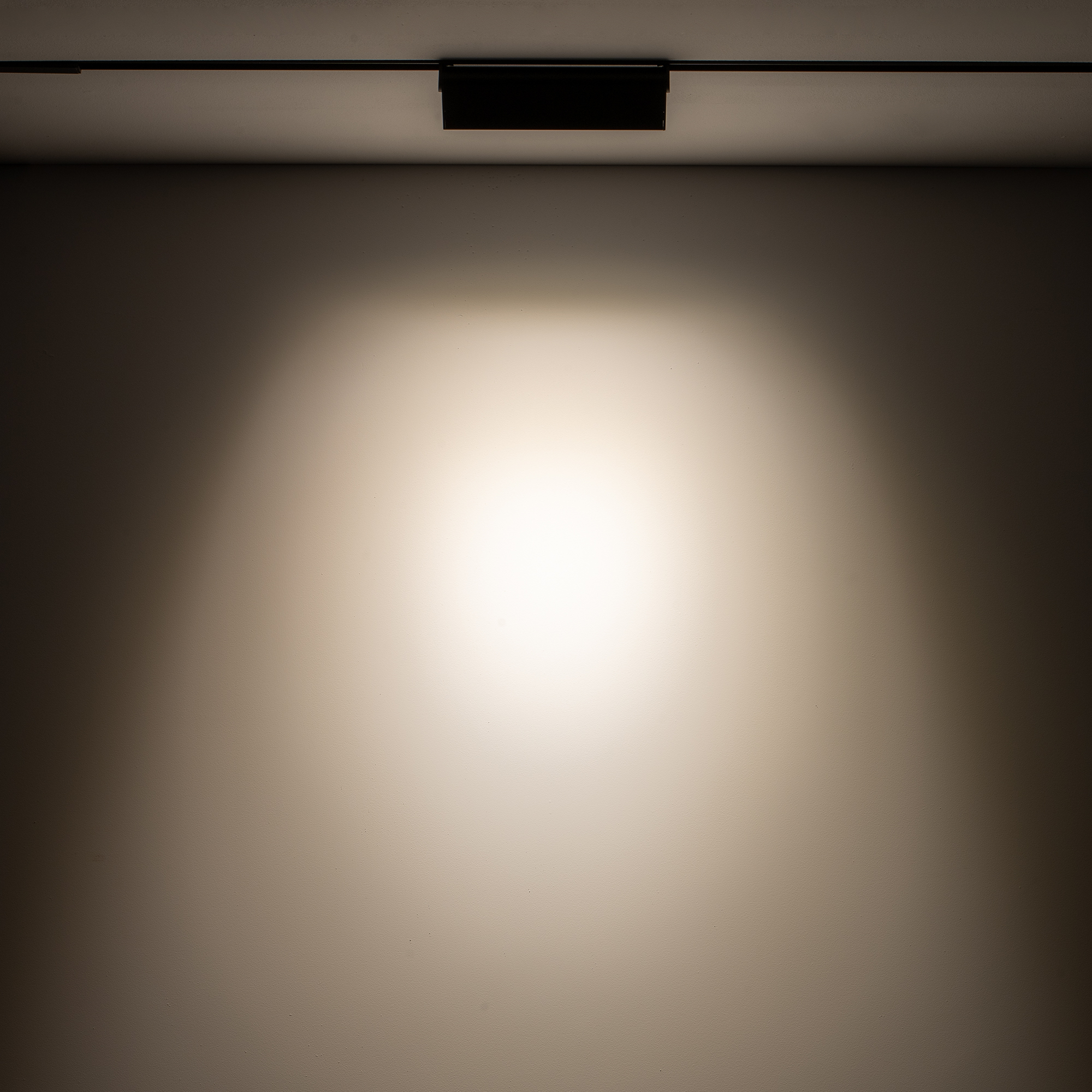 10145-1.jpg