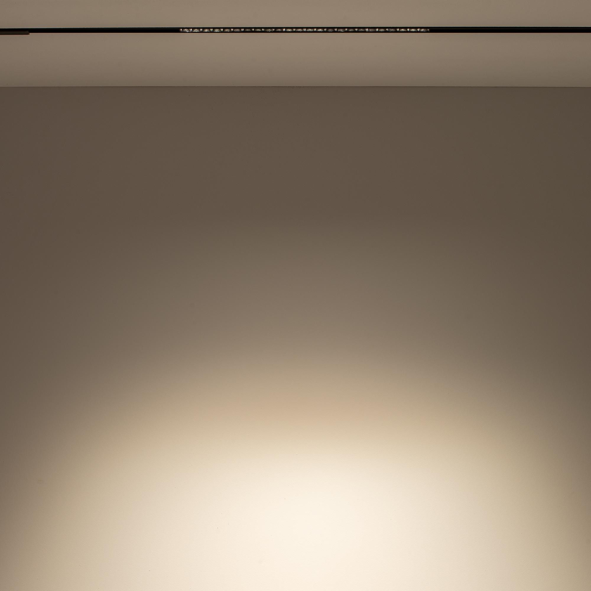 10150-1.jpg