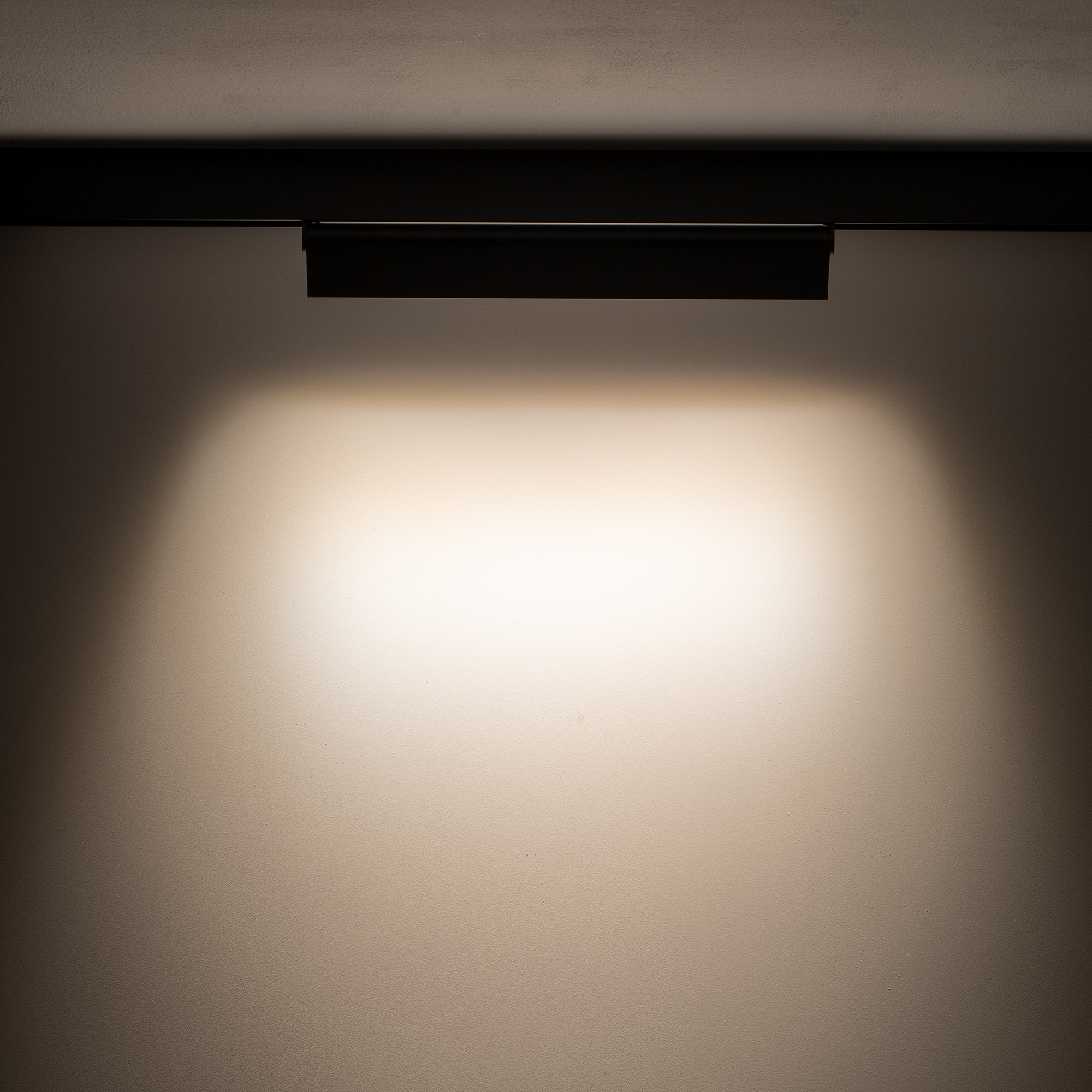 10151-1-1.jpg