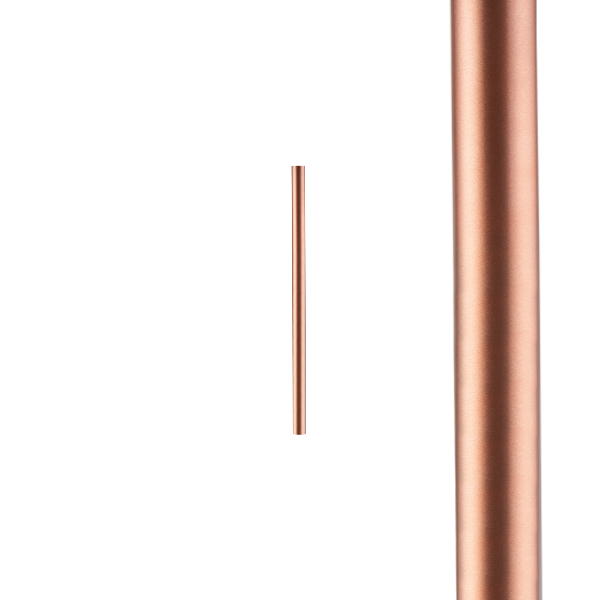 10251.jpg