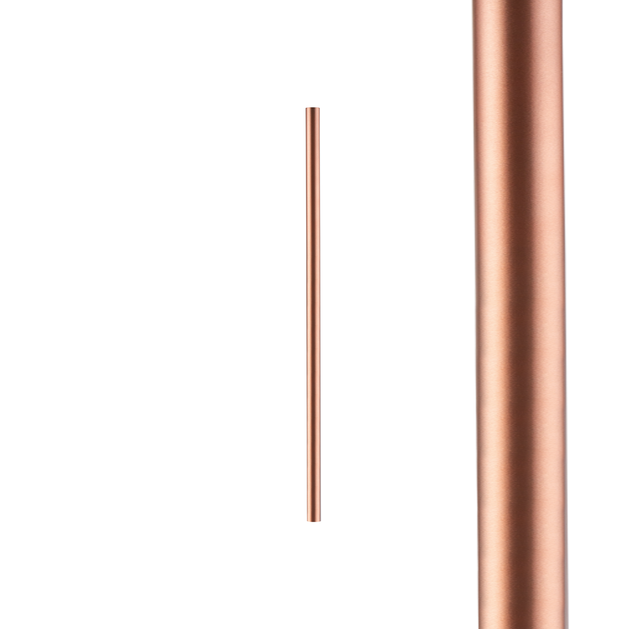 10254.jpg