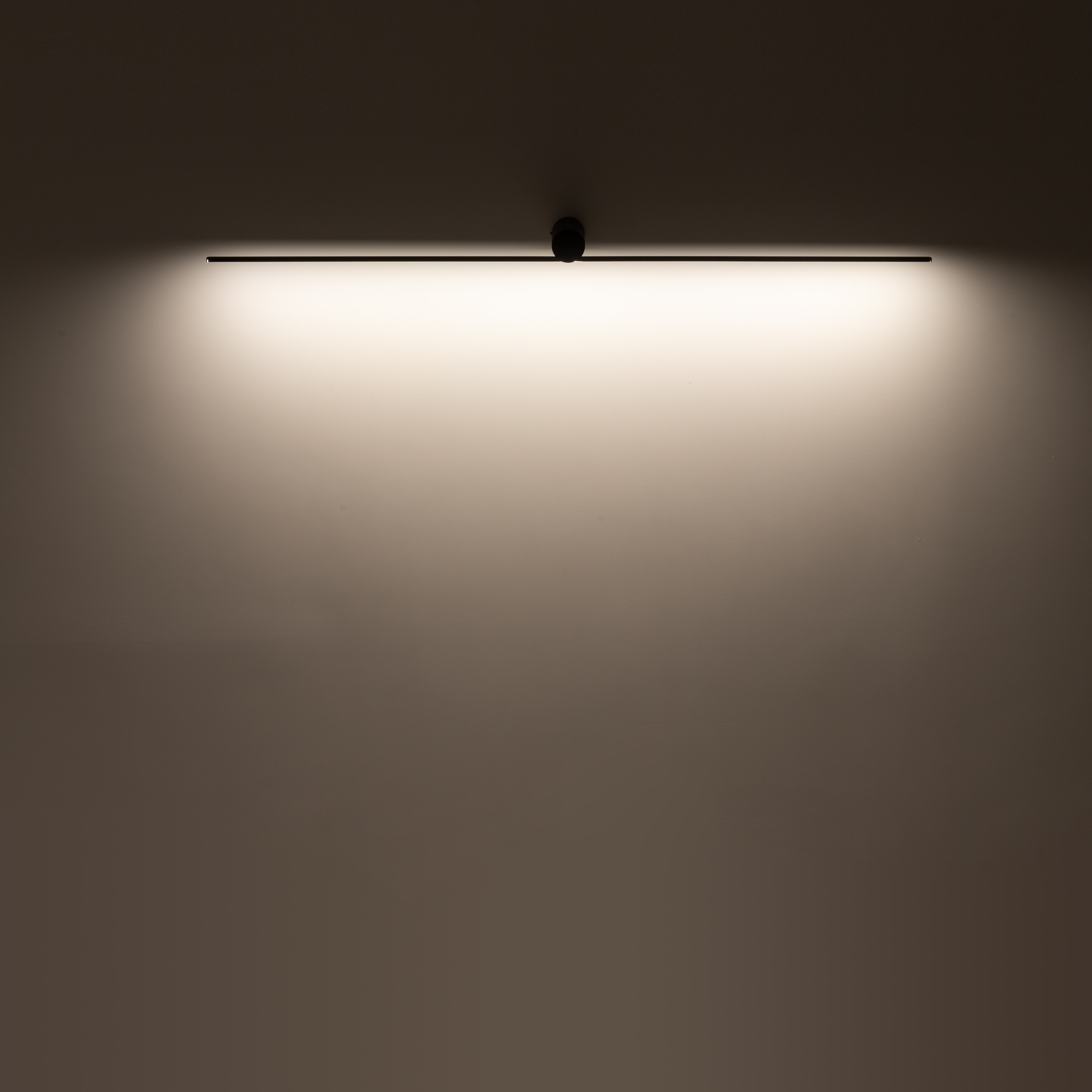 10368-1.jpg