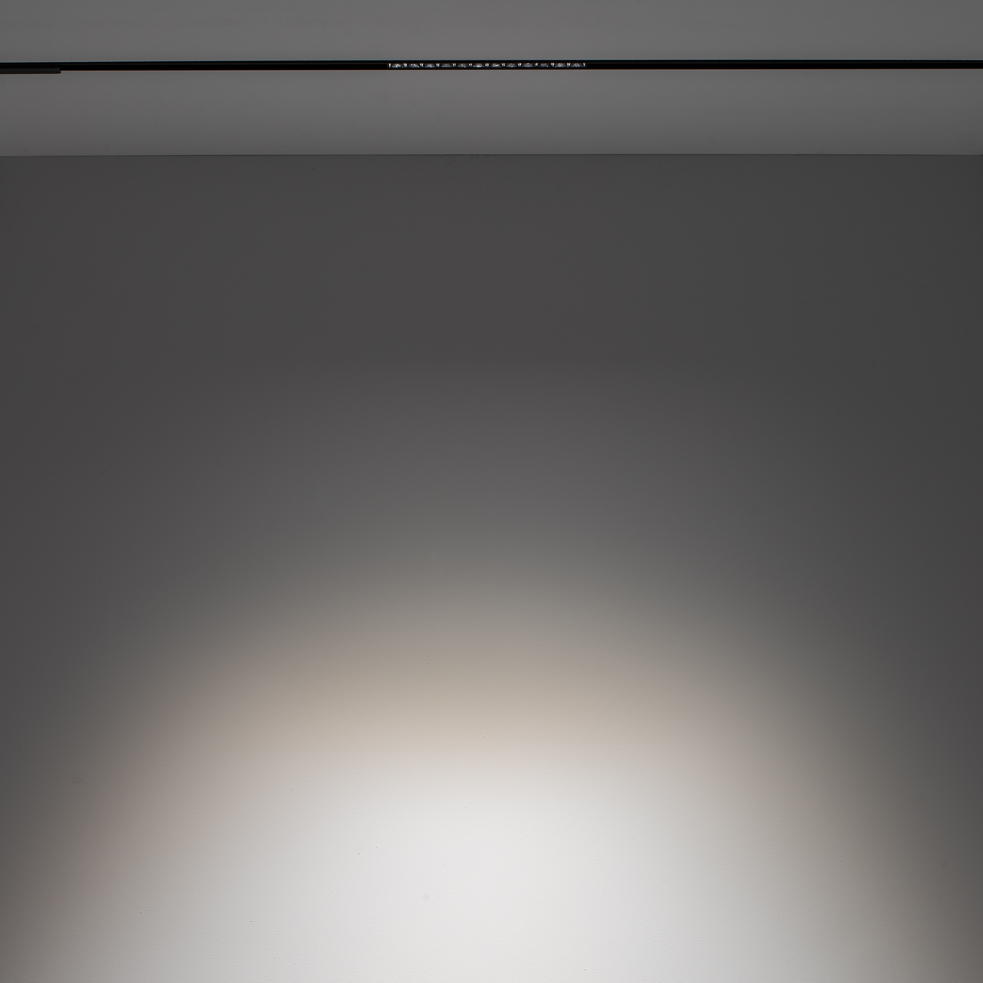 10644-1.jpg