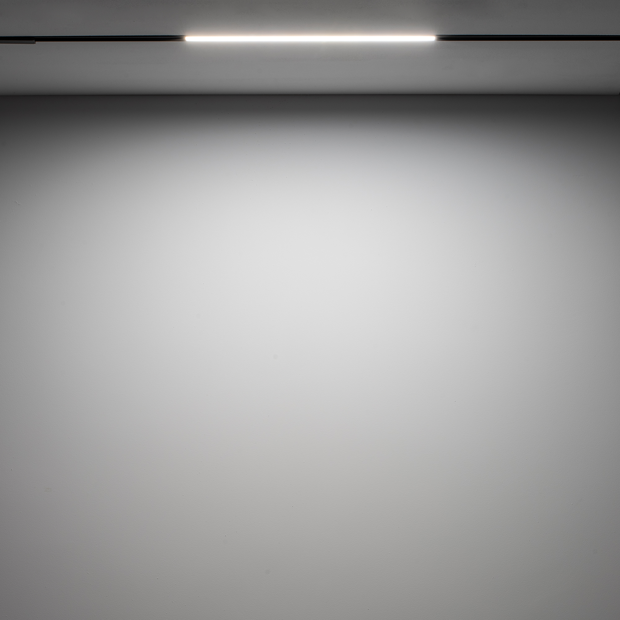 10650-1.jpg