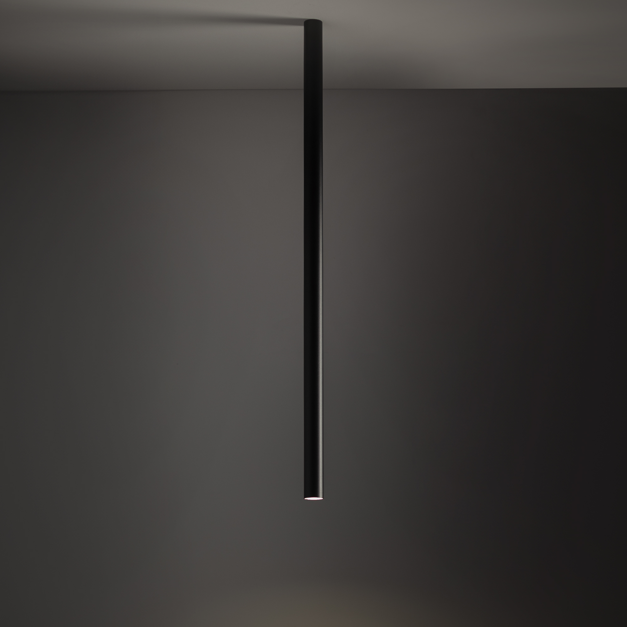 10823-1.jpg