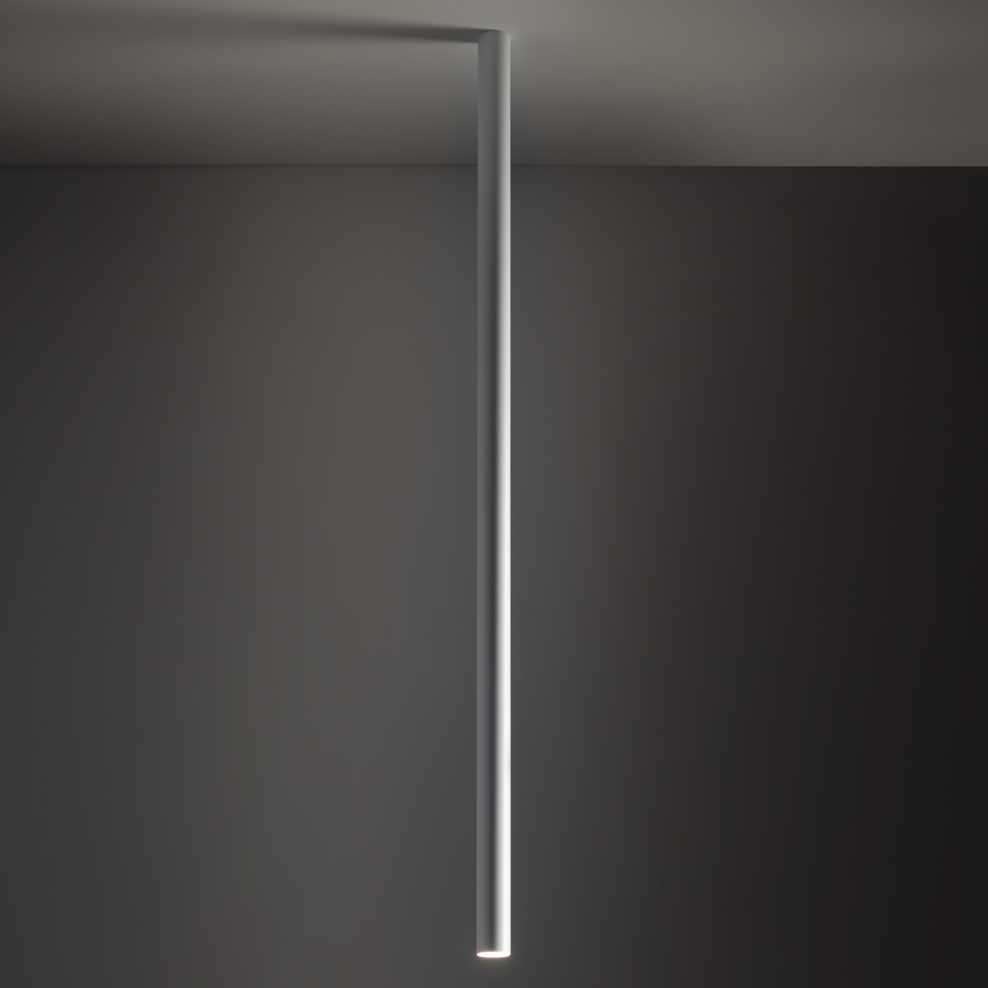10824-1.jpg