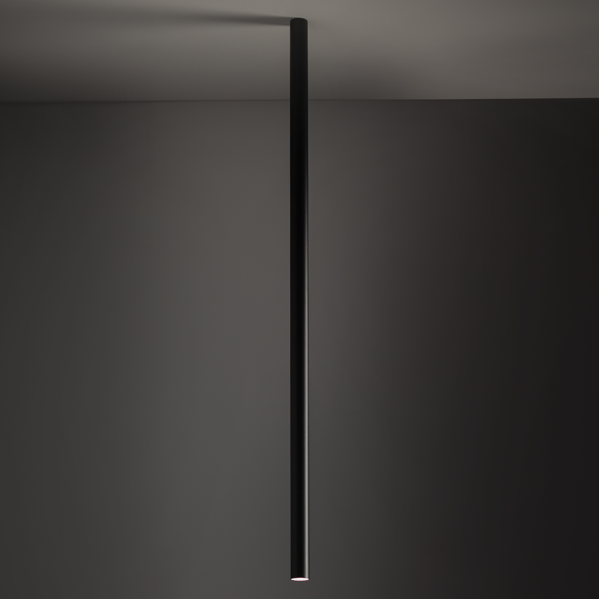 10825-1.jpg