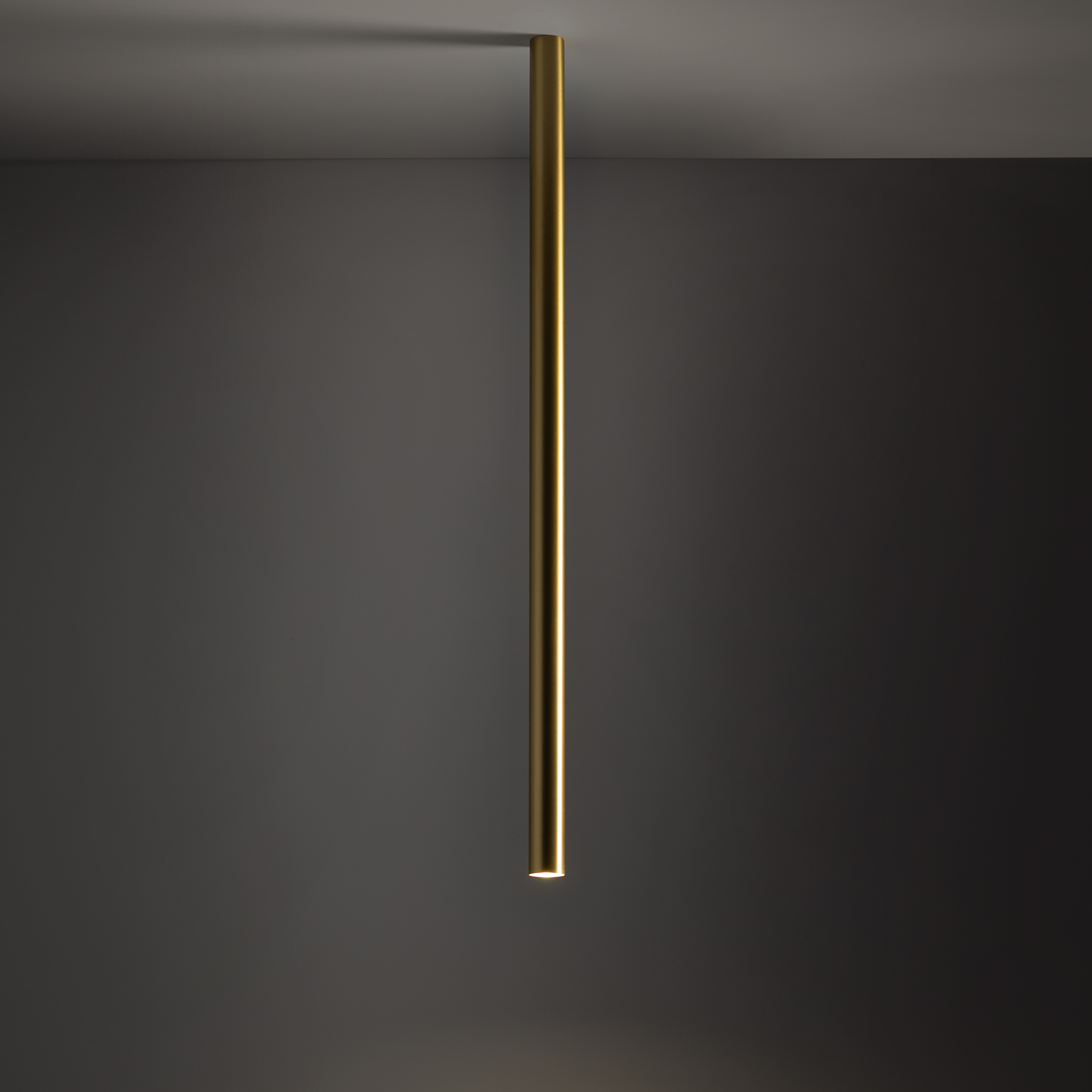 10894-1.jpg