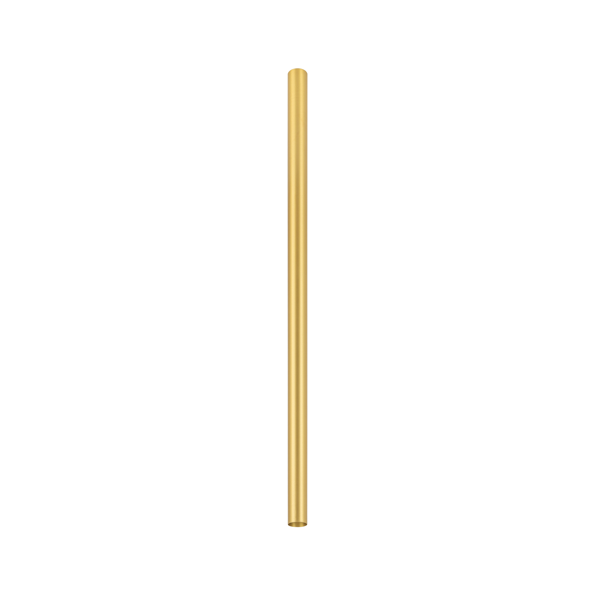 10894.jpg