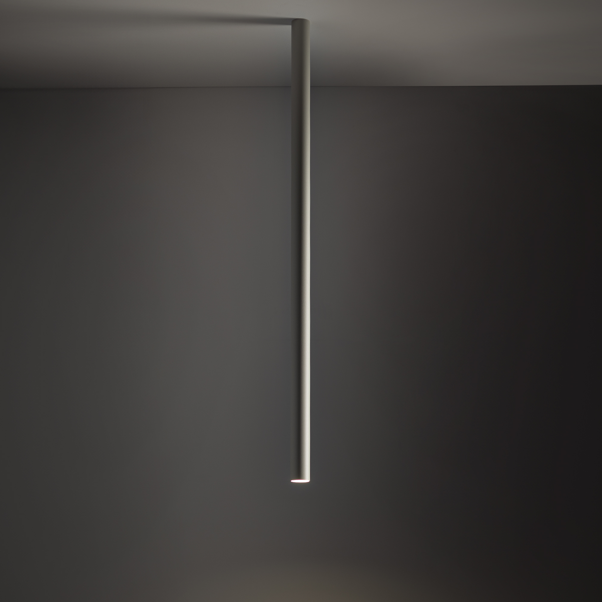 10895-1.jpg