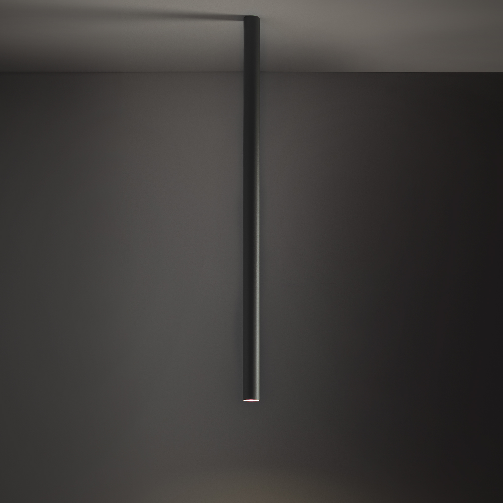 10896-1.jpg