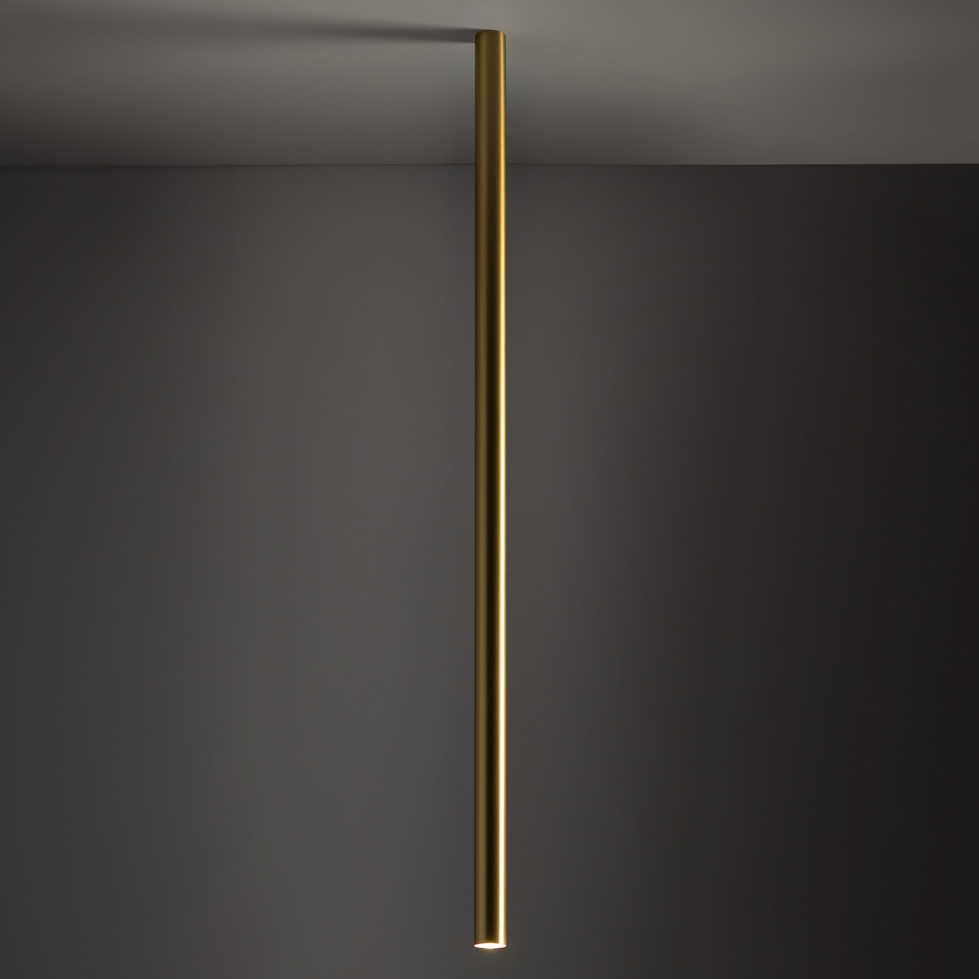 10897-1.jpg
