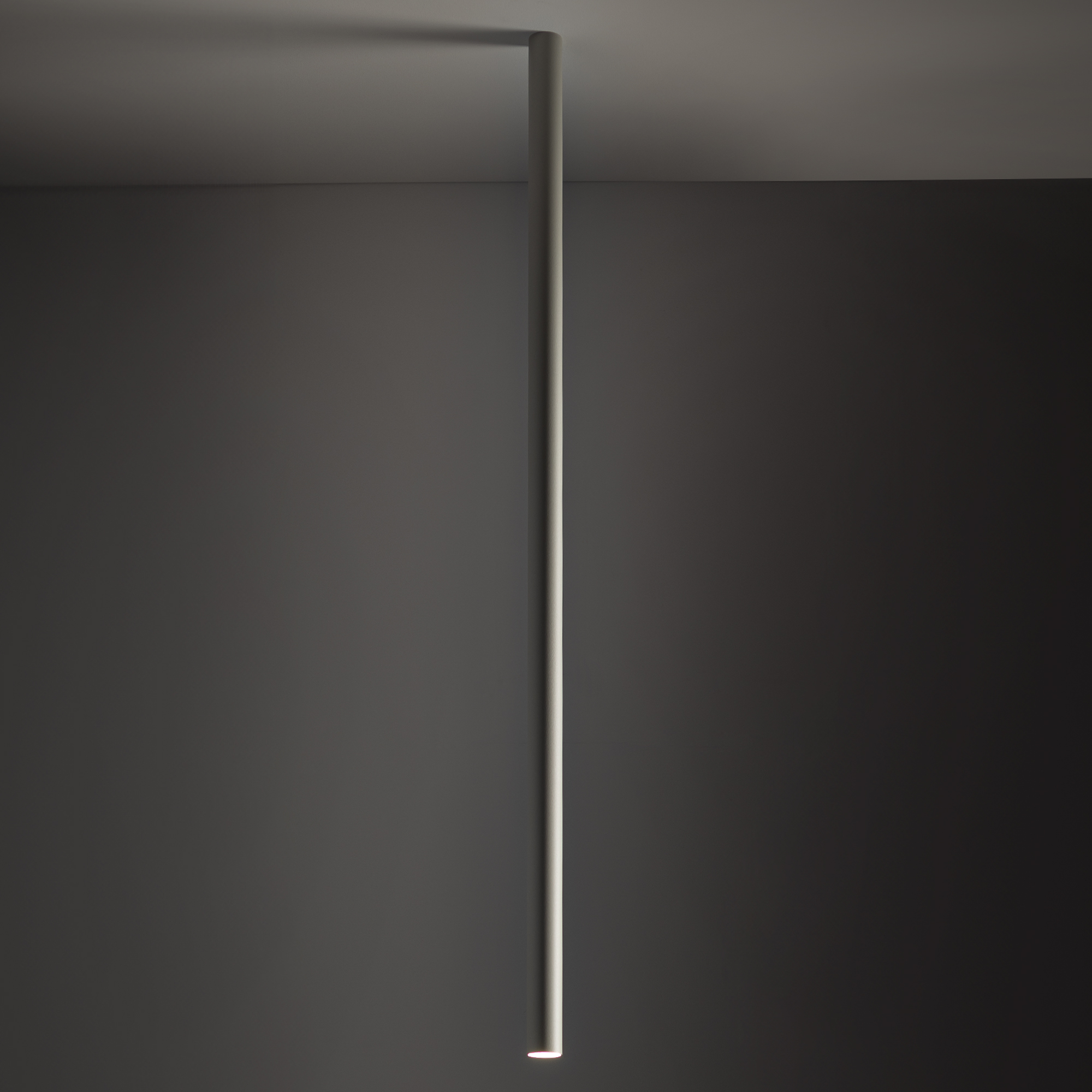 10898-1.jpg