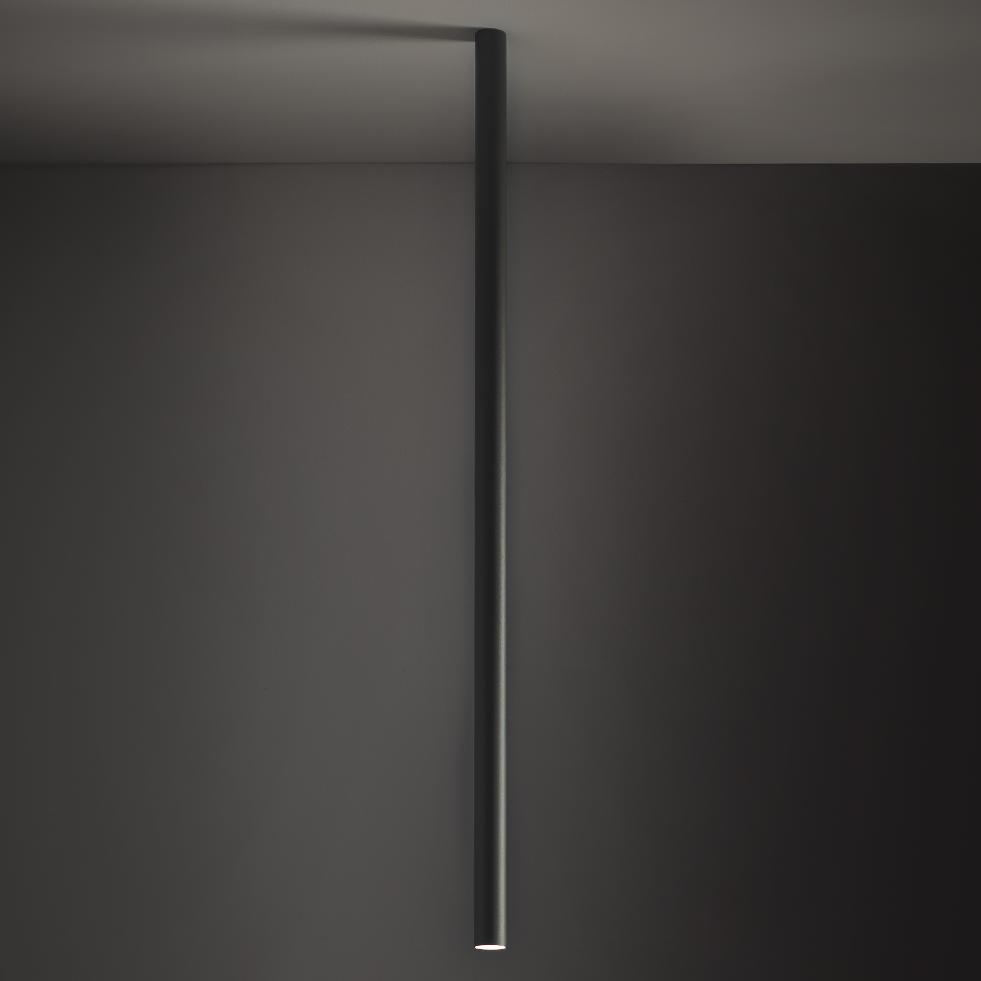 10899-1.jpg