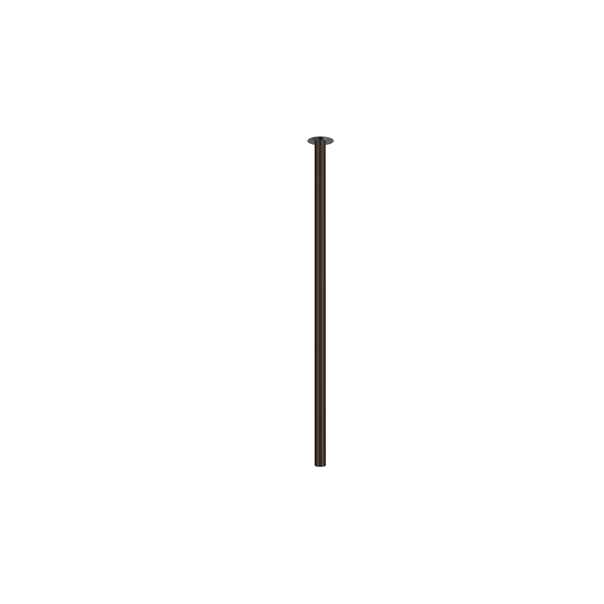 10907.jpg