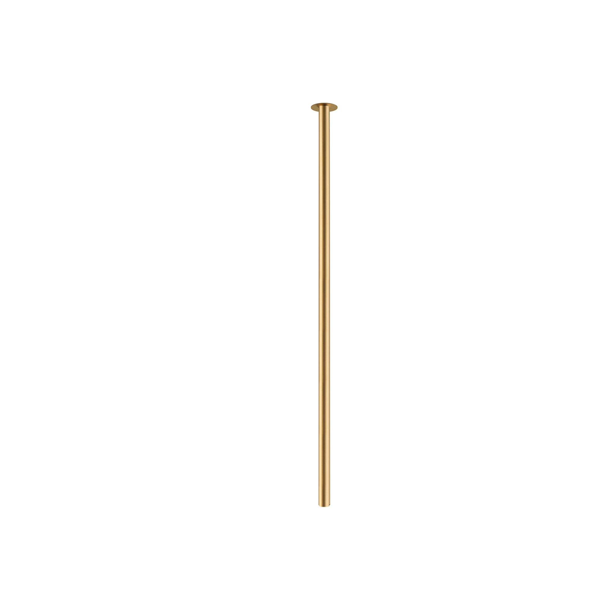 10915.jpg