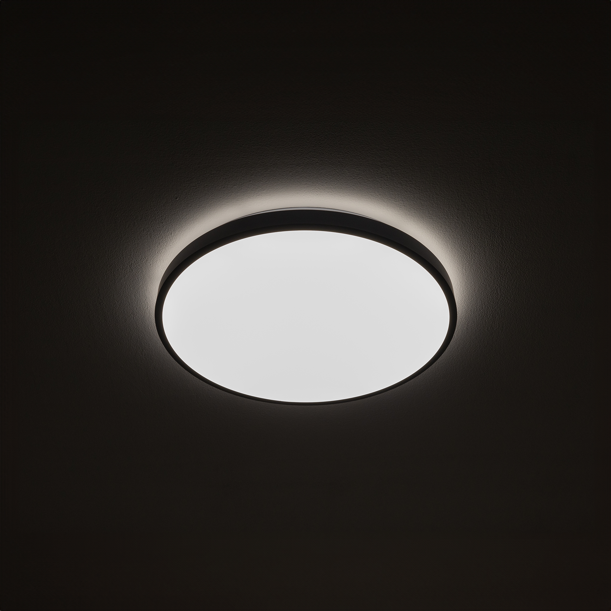 10971-1.jpg