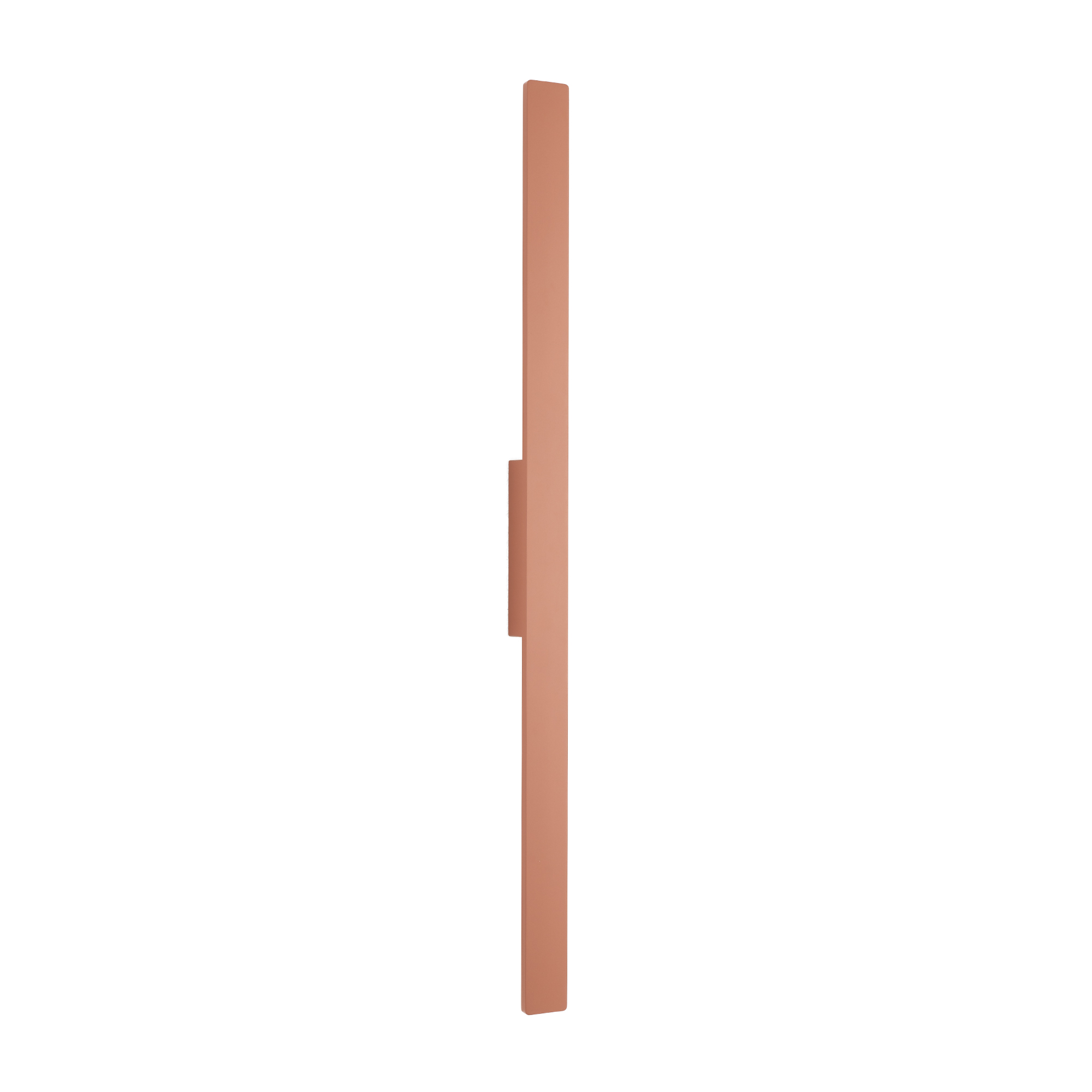 11557.jpg