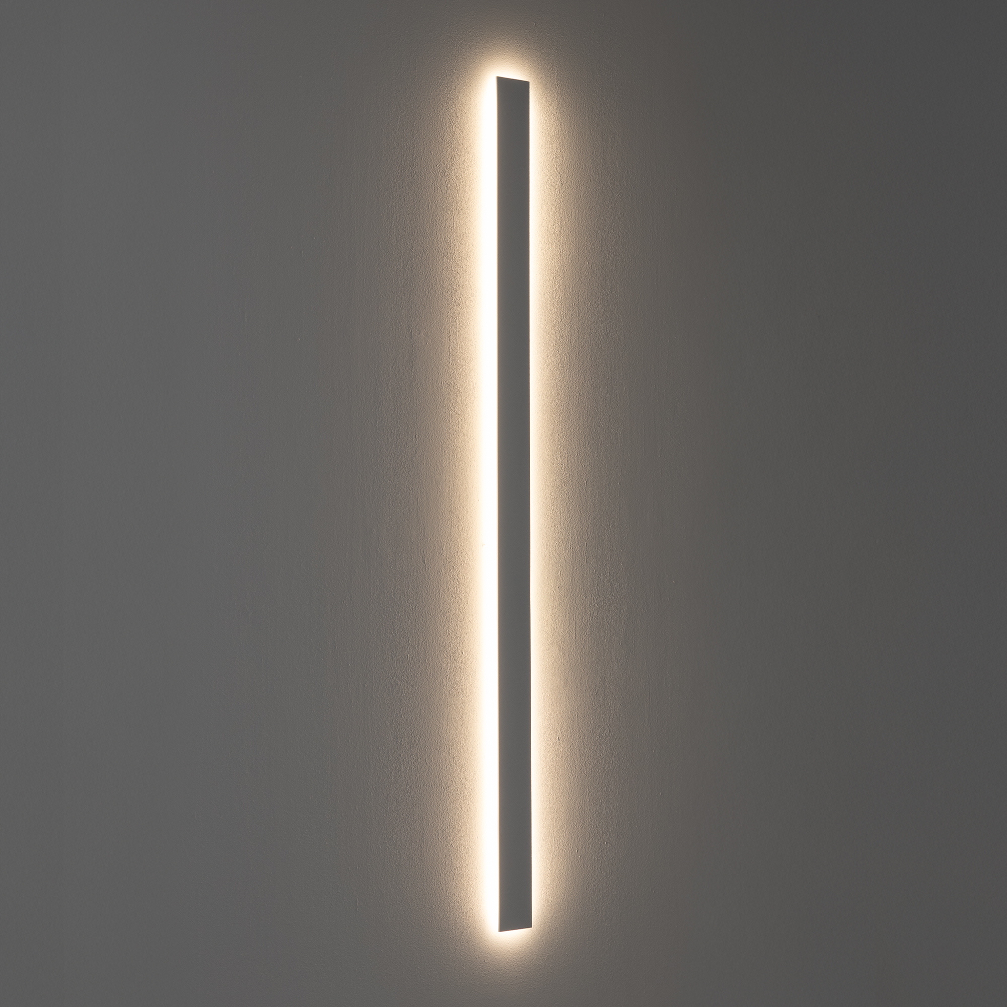 11882-1.jpg