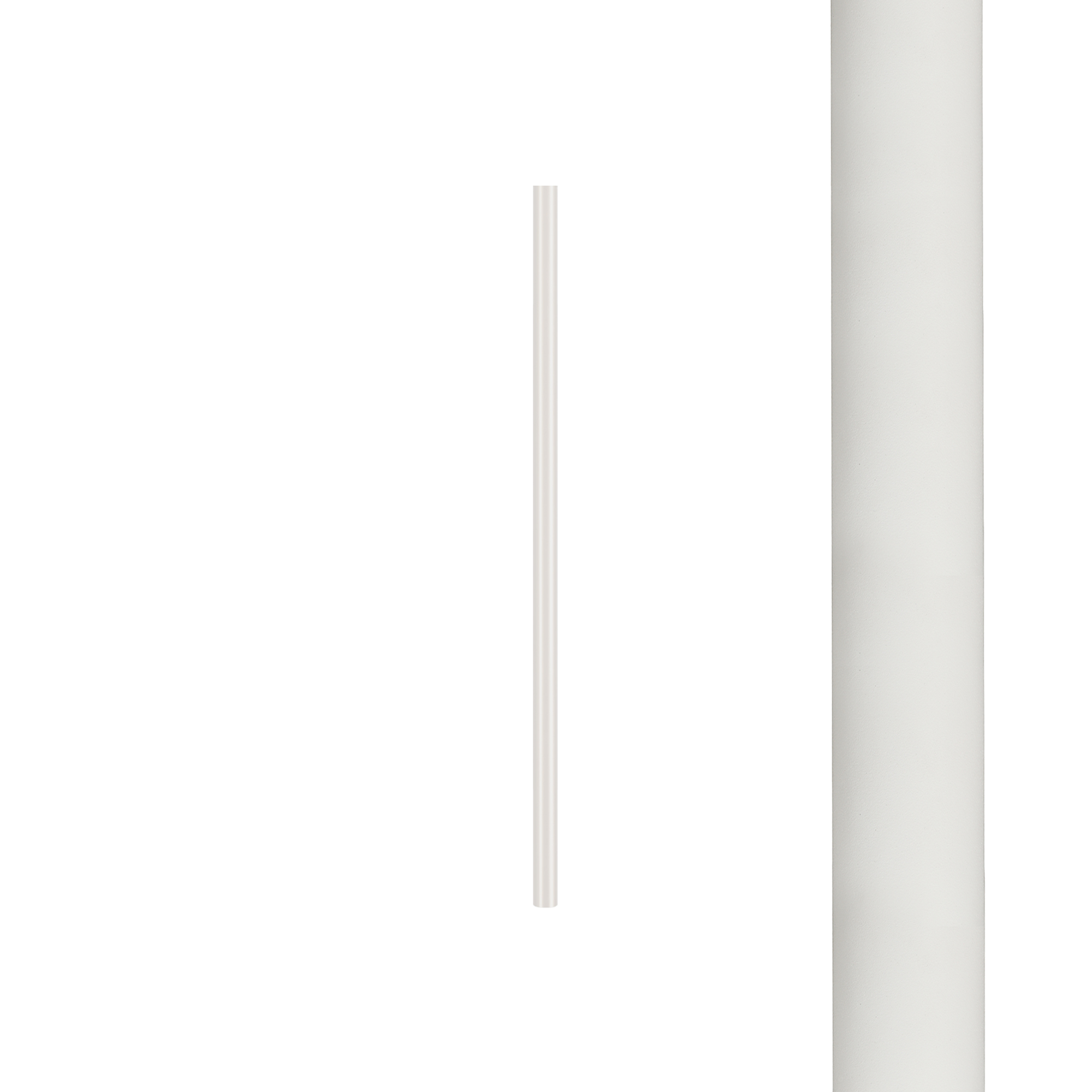 8570.jpg
