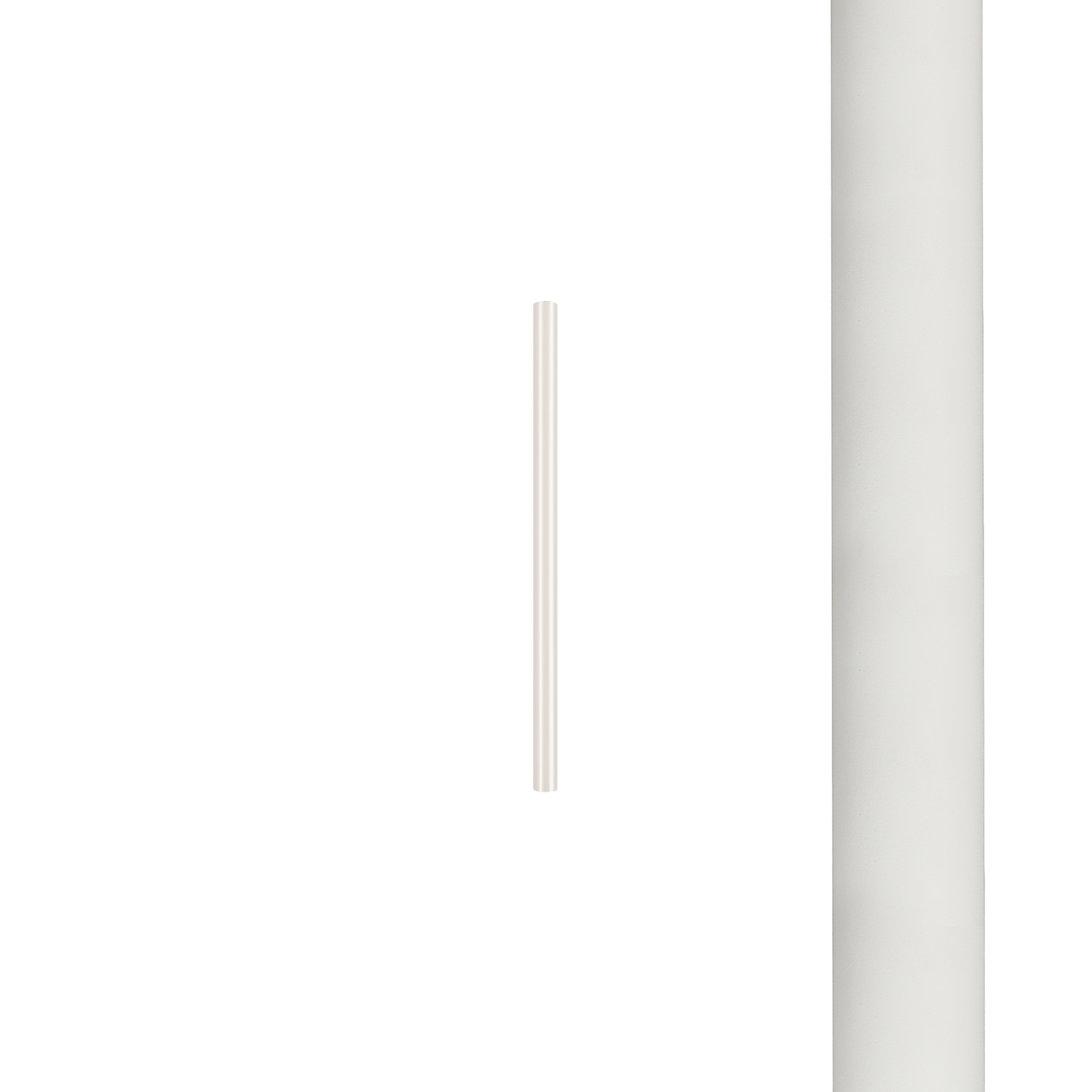 8573.jpg